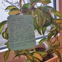 Grüße an das KMG Klinikum Kyritz